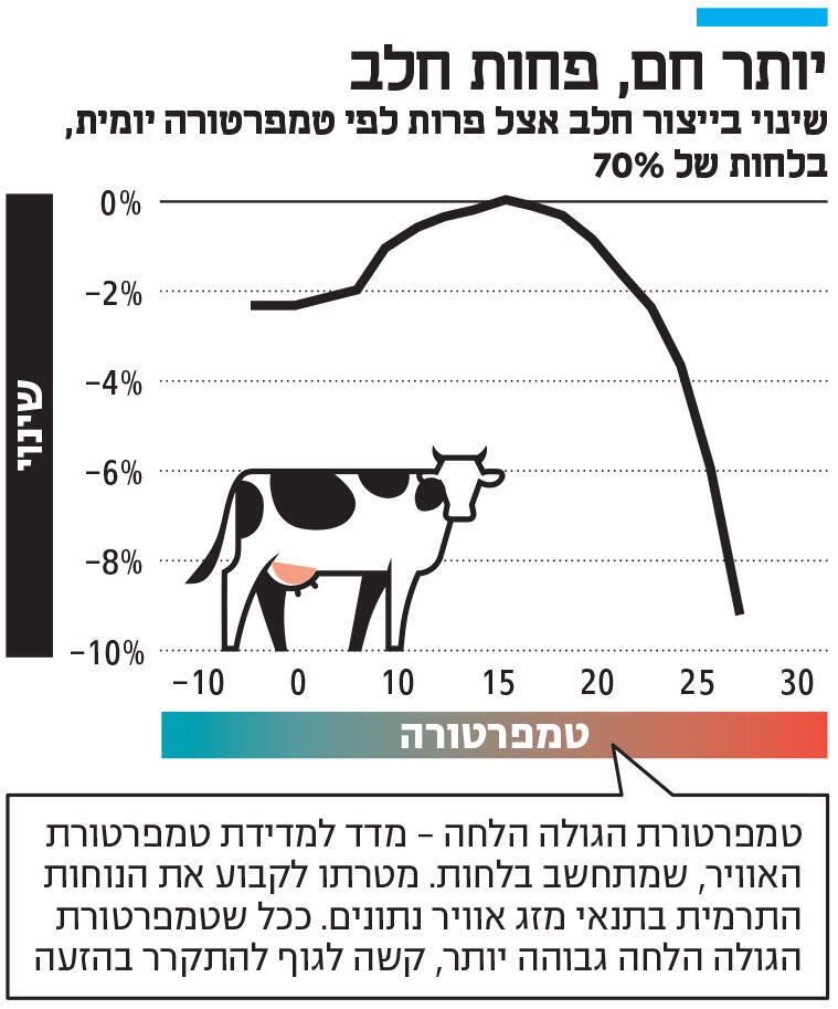 אינפו יותר חם פחות חלב
