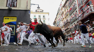 פוטו מירוץ שוורים פמפלונה שור דוהר, צילום: REUTERS/Albert Gea