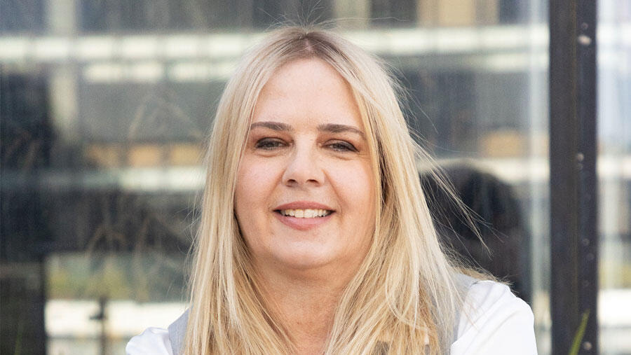 אביה שטיין-קורלנד