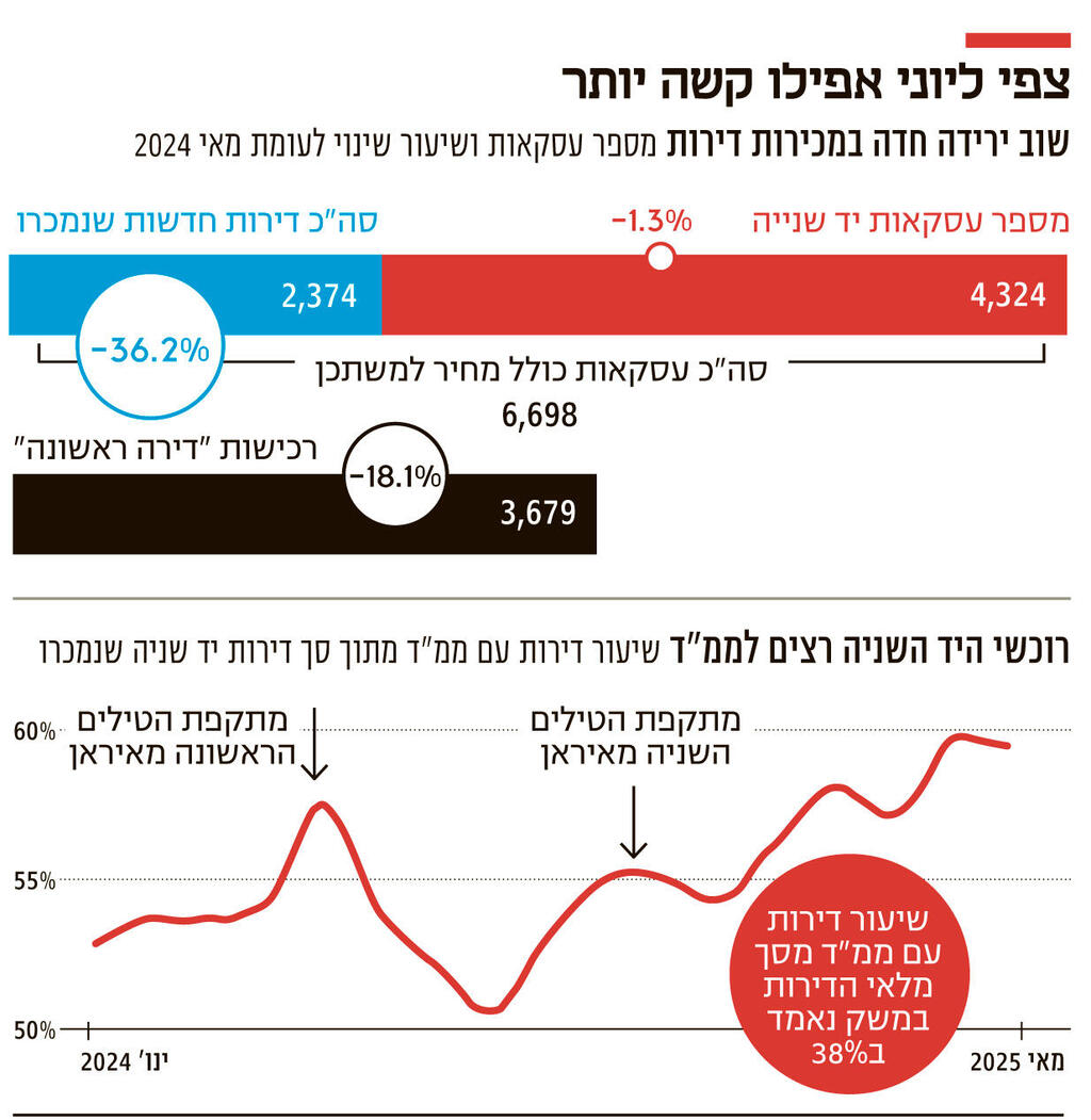 אינפו צפי ליוני אפילו קשה יותר