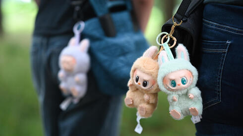 משרד הכלכלה מזהיר: סכנה בשימוש בכמה דגמים של לבובו | כלכליסט