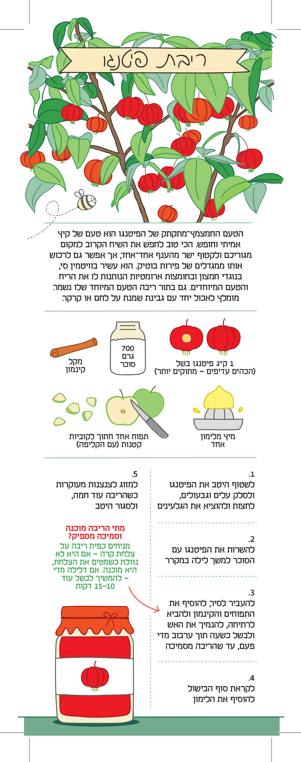 פנאי אינפו ריבת פיטנגו