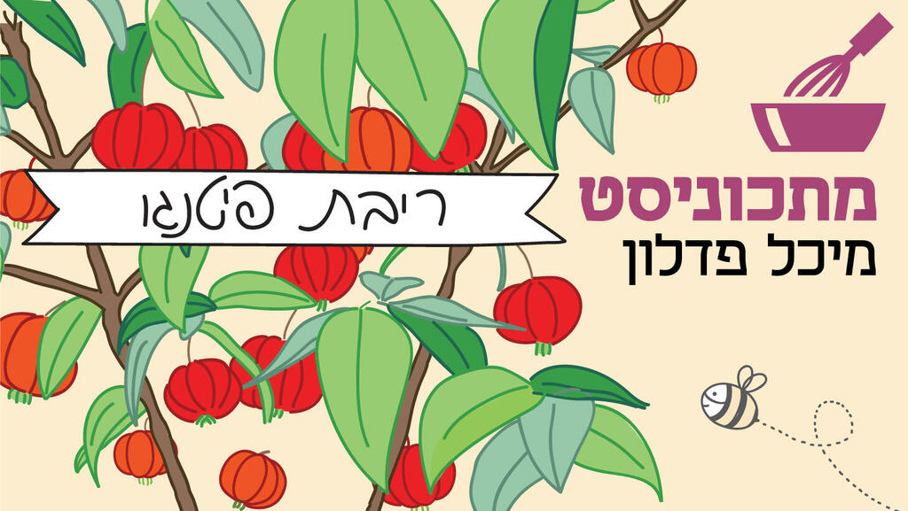 מתכוניסט מיכל פדלון - ריבת פיטנגו פנאי