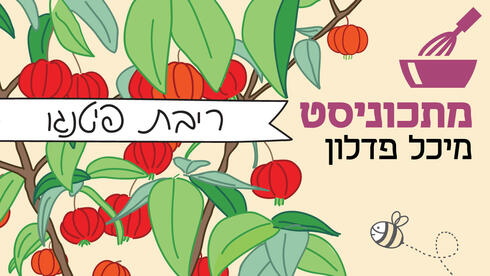 מתכון לריבת פיטנגו
