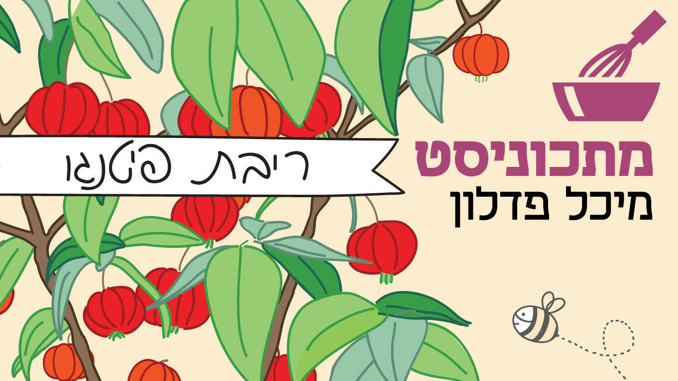 מתכוניסט מיכל פדלון - ריבת פיטנגו פנאי