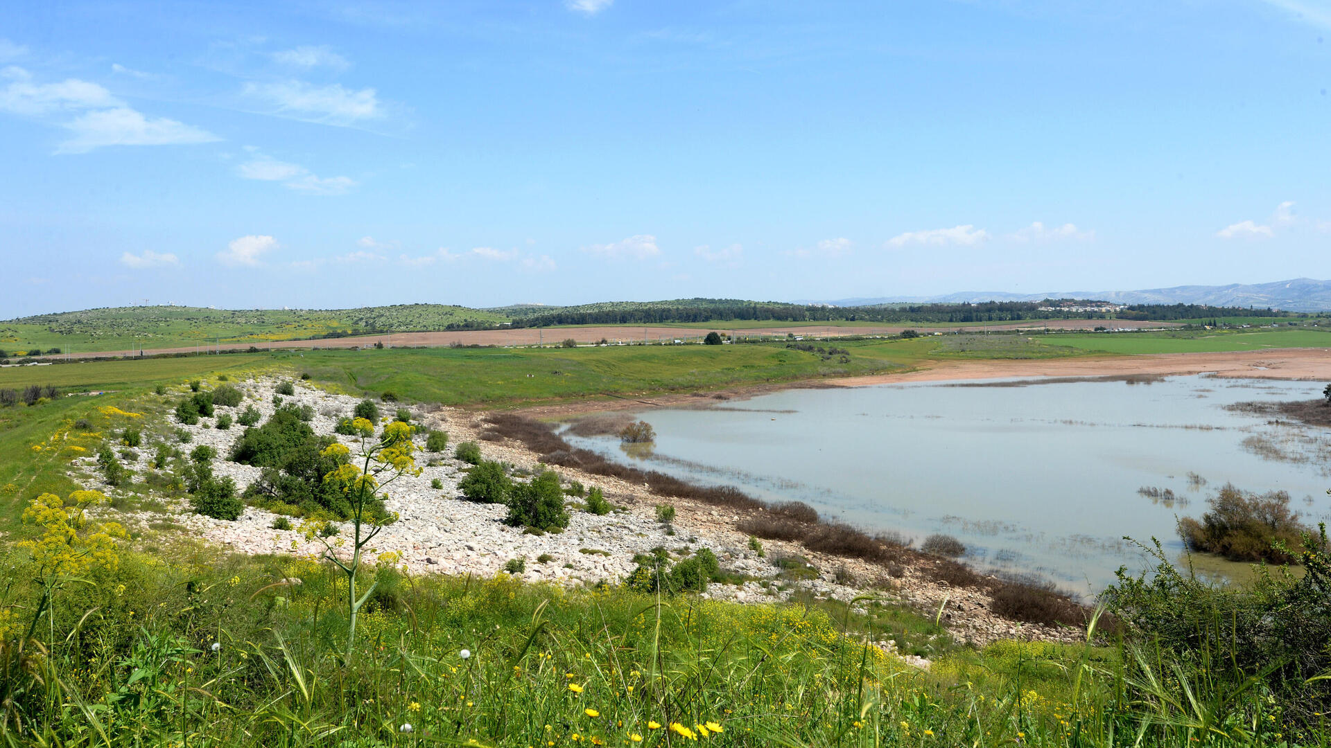 מאגר יער לחי ליד משמר איילון 28.3.2019