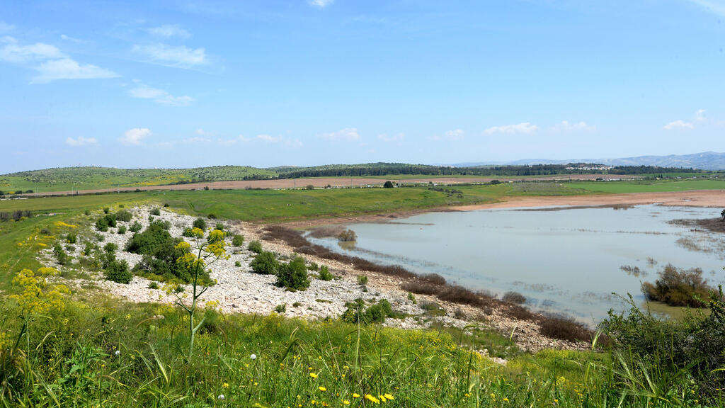 מאגר יער לחי ליד משמר איילון (צילום: קובי קואנקס) מאגר יער לחי ליד משמר איילון 28.3.2019