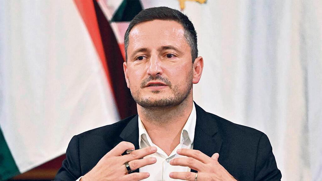 סגן נשיאת  הפרלמנט  האירופי ניקולאה  שטפונצה