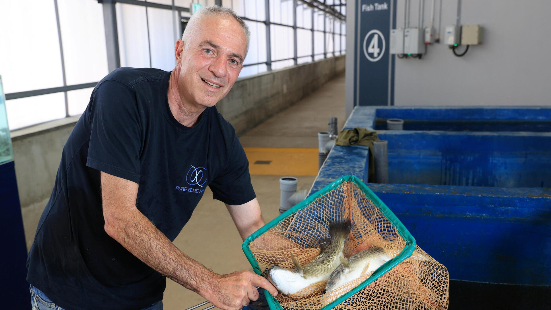 אהוד בריל Pure Blue Fish פנאי