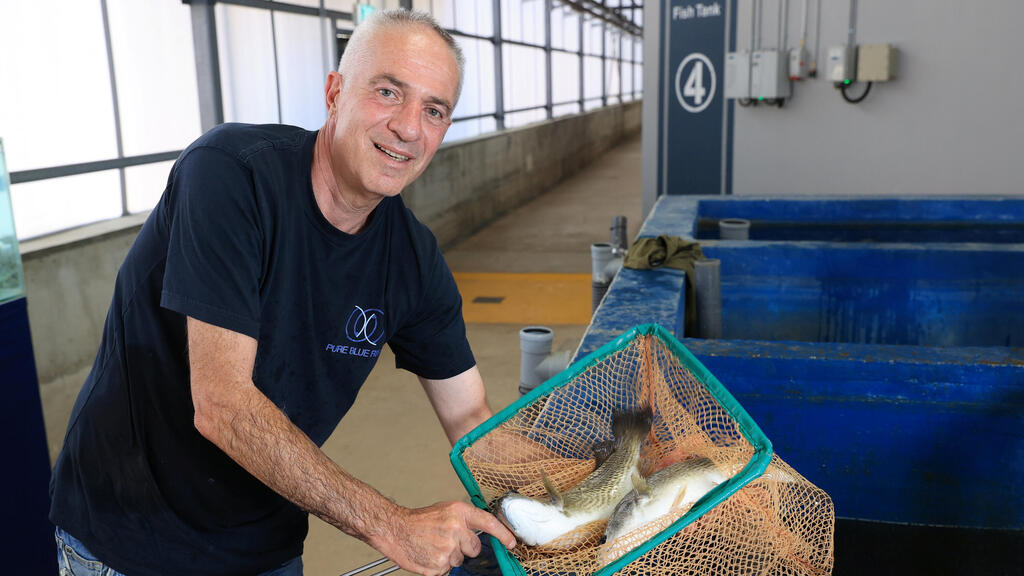 אהוד בריל Pure Blue Fish פנאי