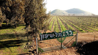 כנס מקומי קום - יקב תל שיפון