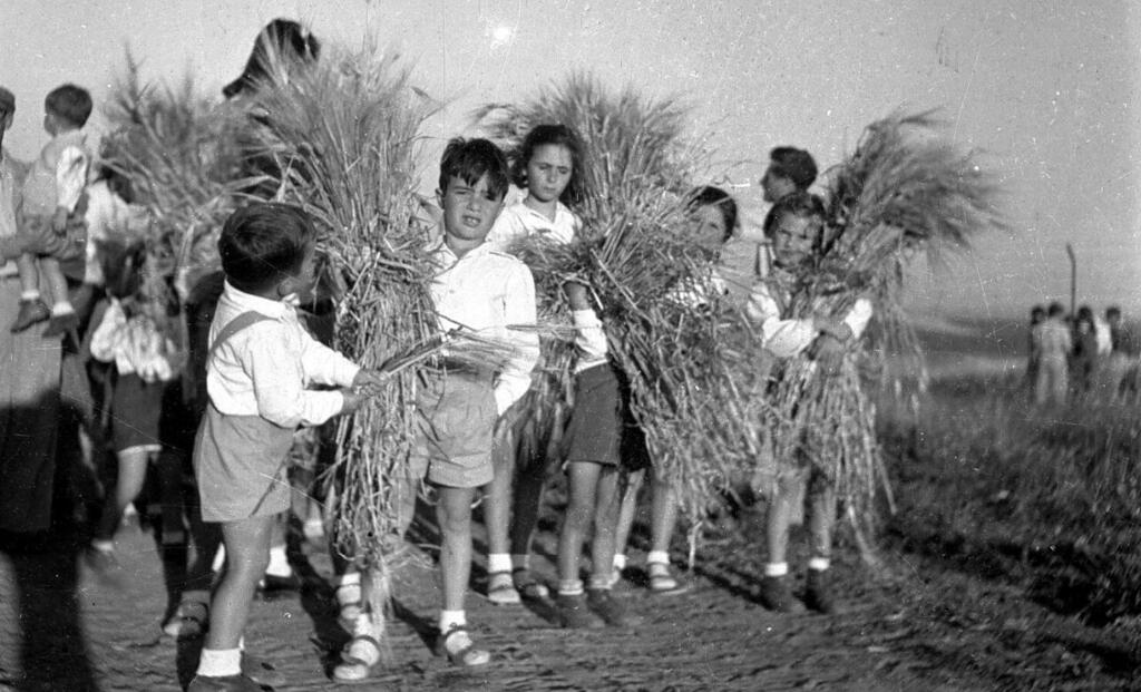 הקברניט חיל האוויר הישראלי מיראז' אייס גיורא אפשטיין