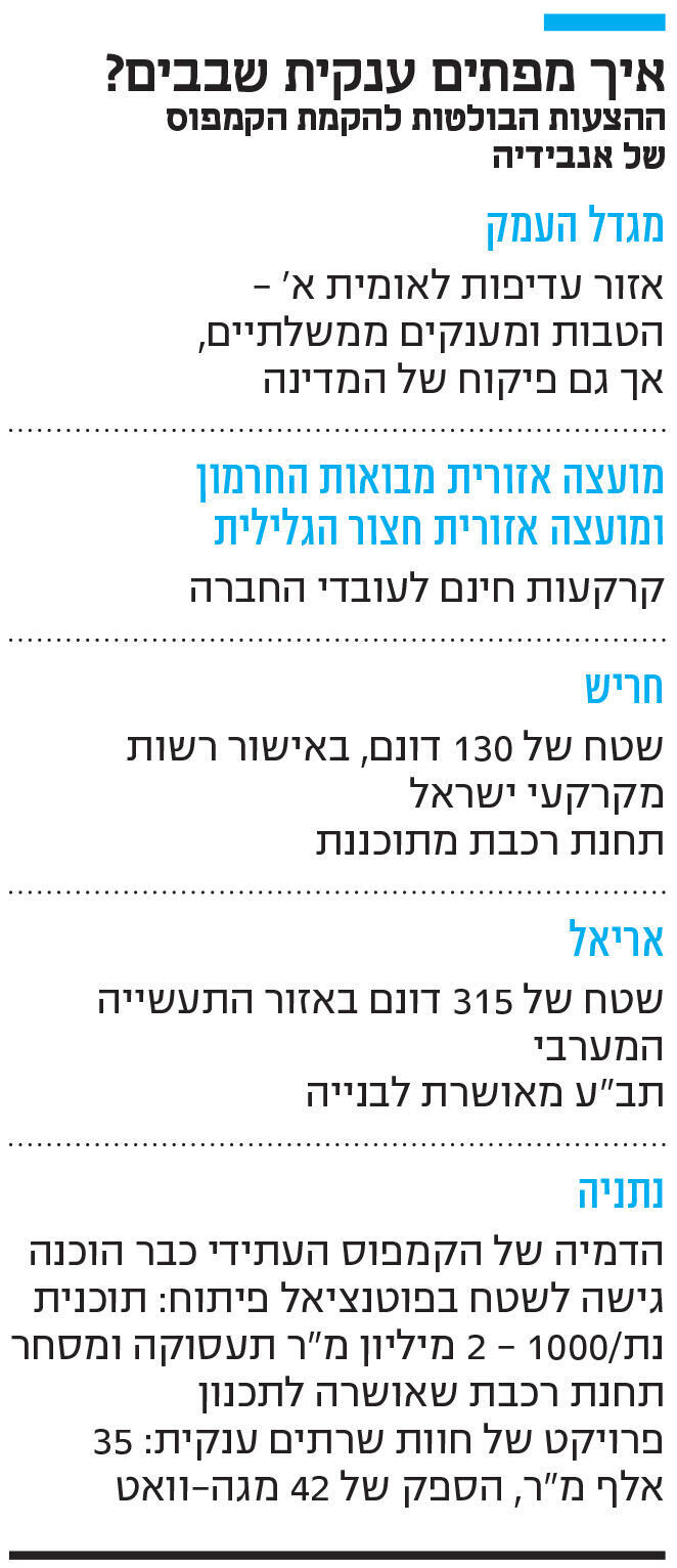 אינפו איך מפתים ענקית שבבים