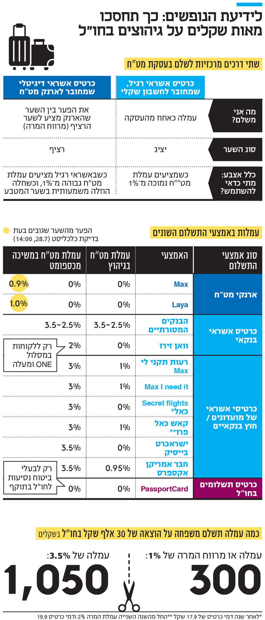 אינפו לידיעת הנופשים: כך תחסכו מאות שקלים על גיהוצים בחו"ל