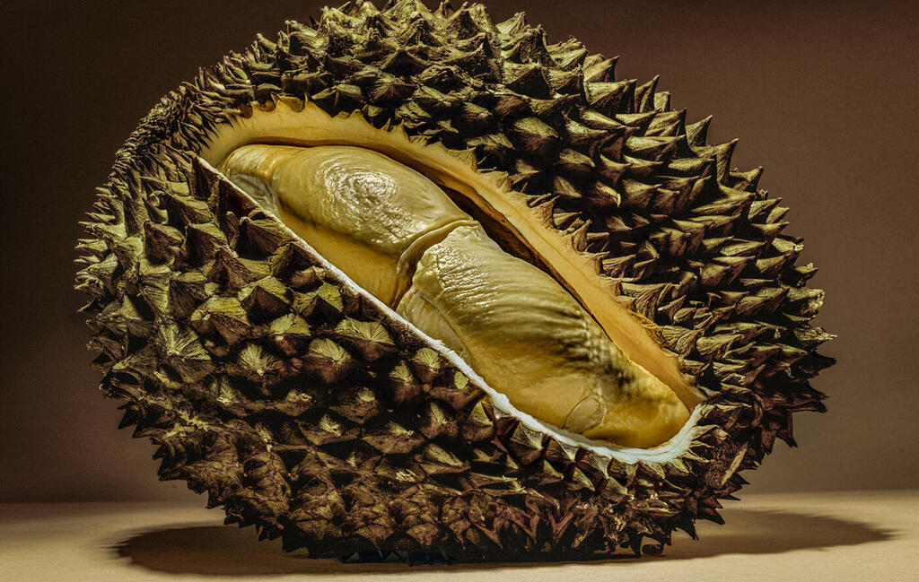 מדור אוכל סיוון מוסף