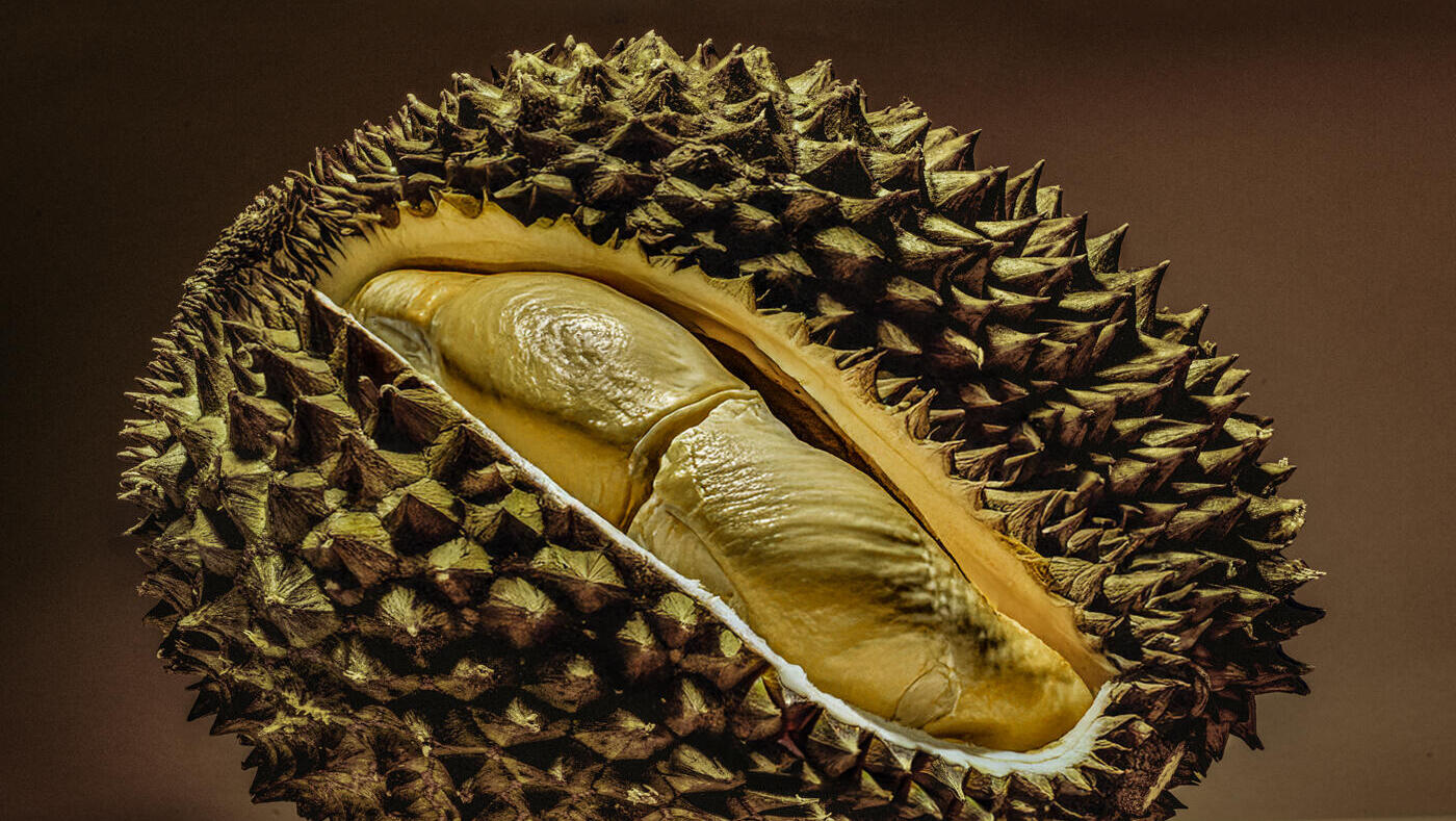 מדור אוכל סיוון מוסף