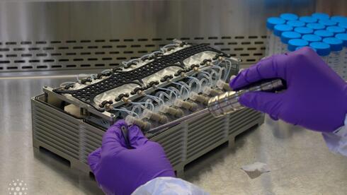 Israeli scientists send bacteria to space on NASA and SpaceX mission in bid to map disease evolution