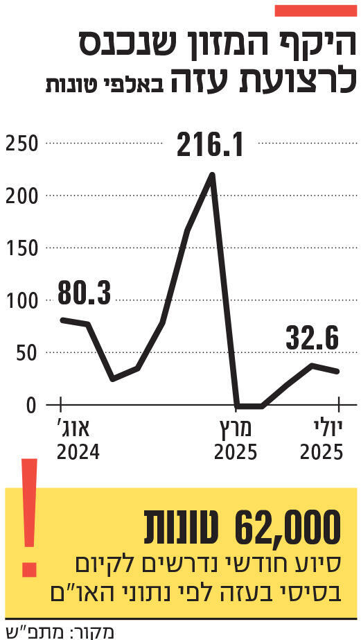 אינפו היקף המזון שנכנס לרצועת עזה