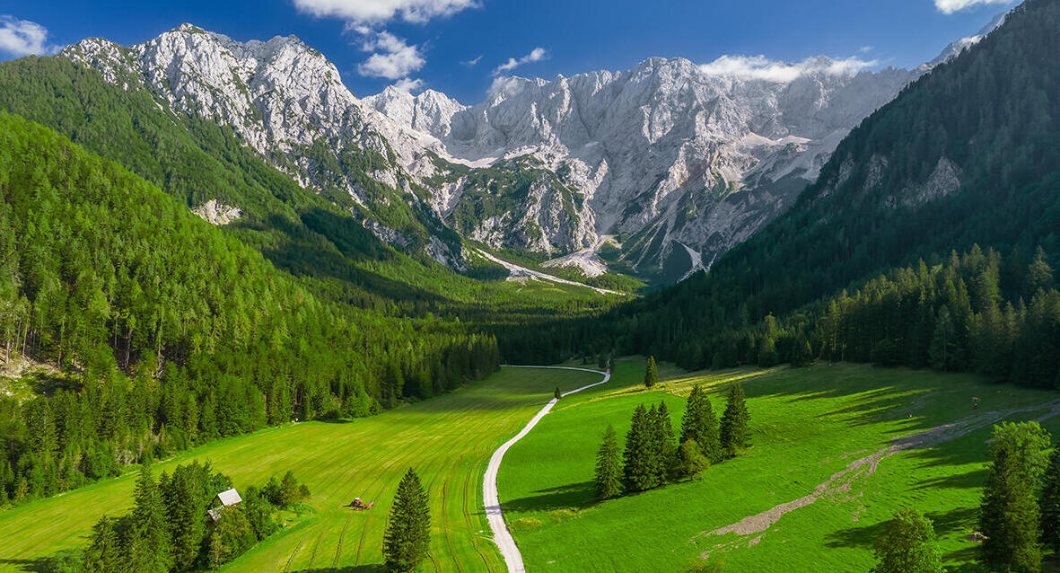 פוטו העמקים היפים בעולם סלובניה Alpine Valley