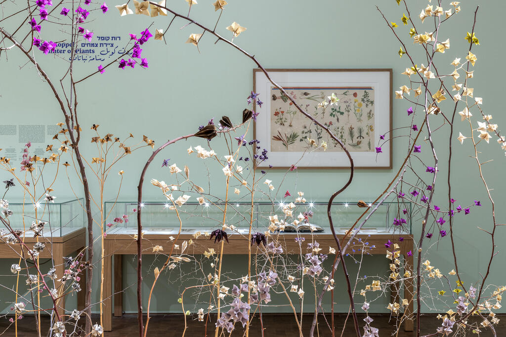 שלי פרימן צומח דומם 2025 (צילום: אלעד שריג) שלי פרימן צומח דומם 2025