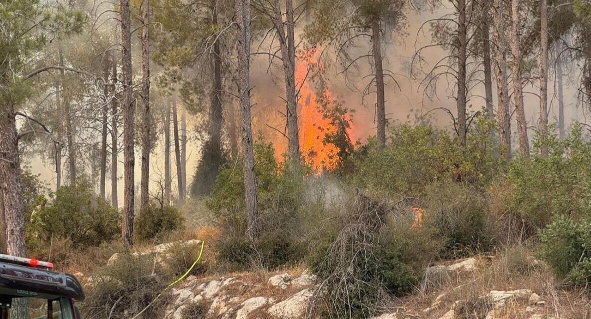 פוטו גל חום אוגוסט שריפה יער אשתאול 