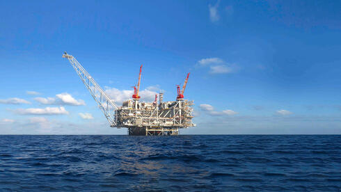 צילום: אלבטרוס החשש מאחורי עסקת הענק בגז: עליית מחירים ואיום אנרגטי על ישראל