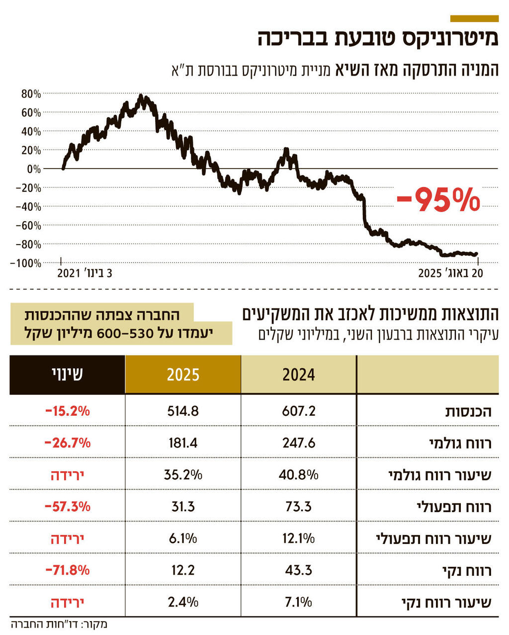 אינפו מיטרוניקס טובעת בבריכה