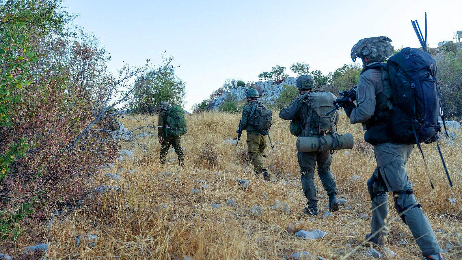 פעילות של צה"ל בדרום לבנון