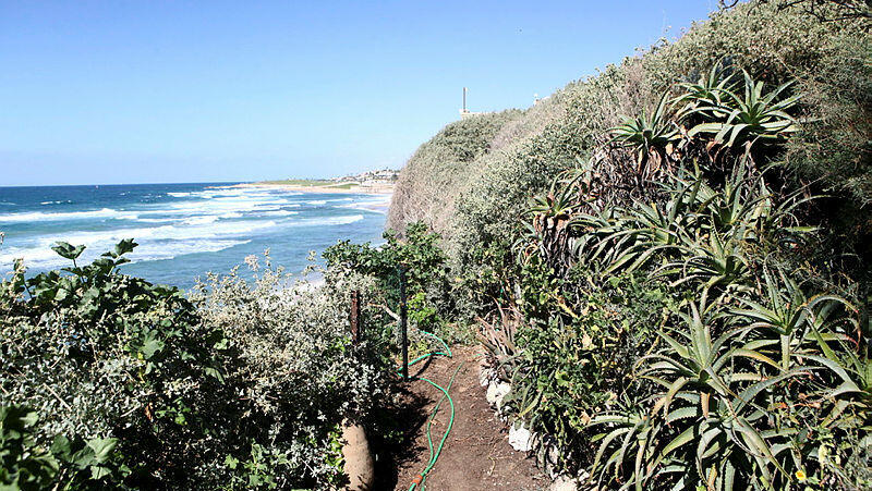 שטח הגינה שצמוד ל בית יצחק שדה 