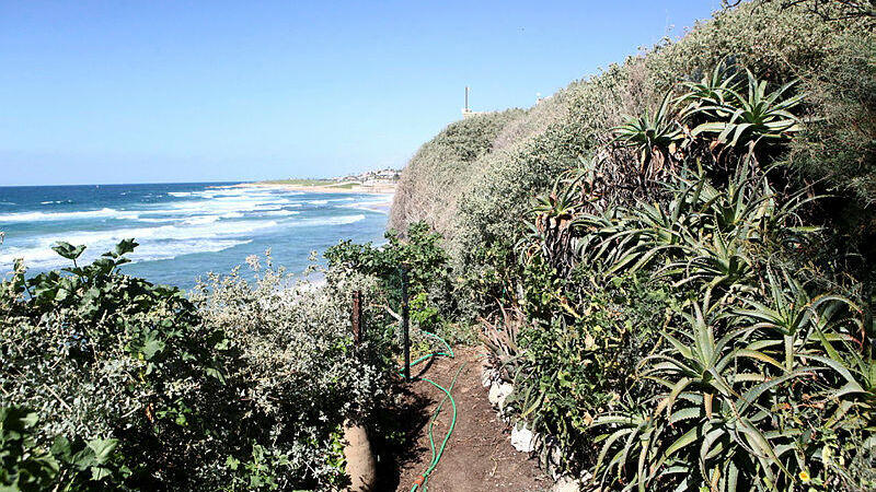 שטח הגינה שצמוד ל בית יצחק שדה 