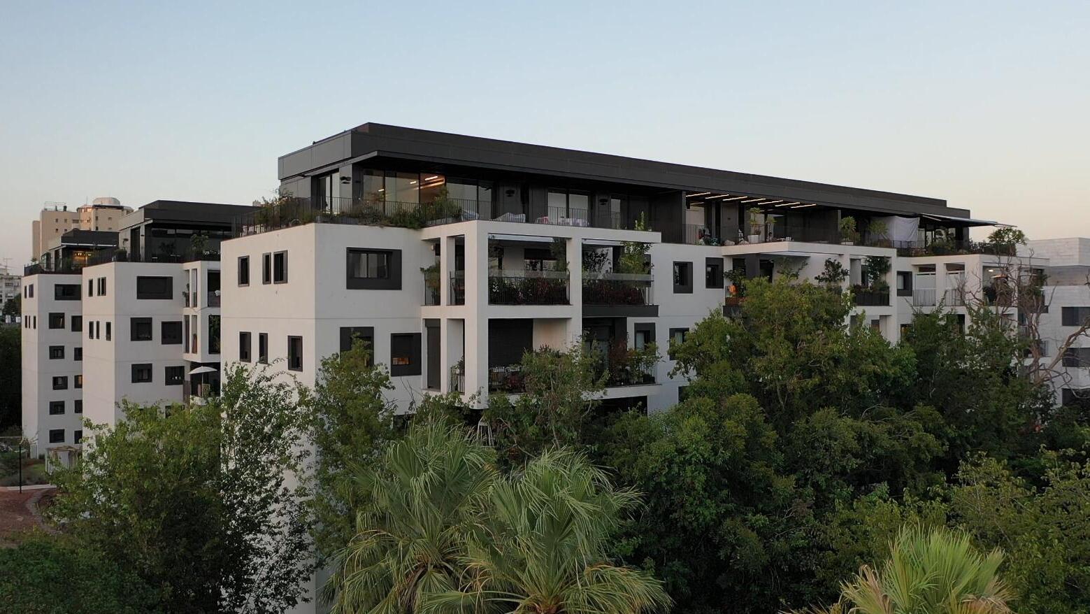 פרויקט פיכמן של מיי טאון Mytown מייטאון