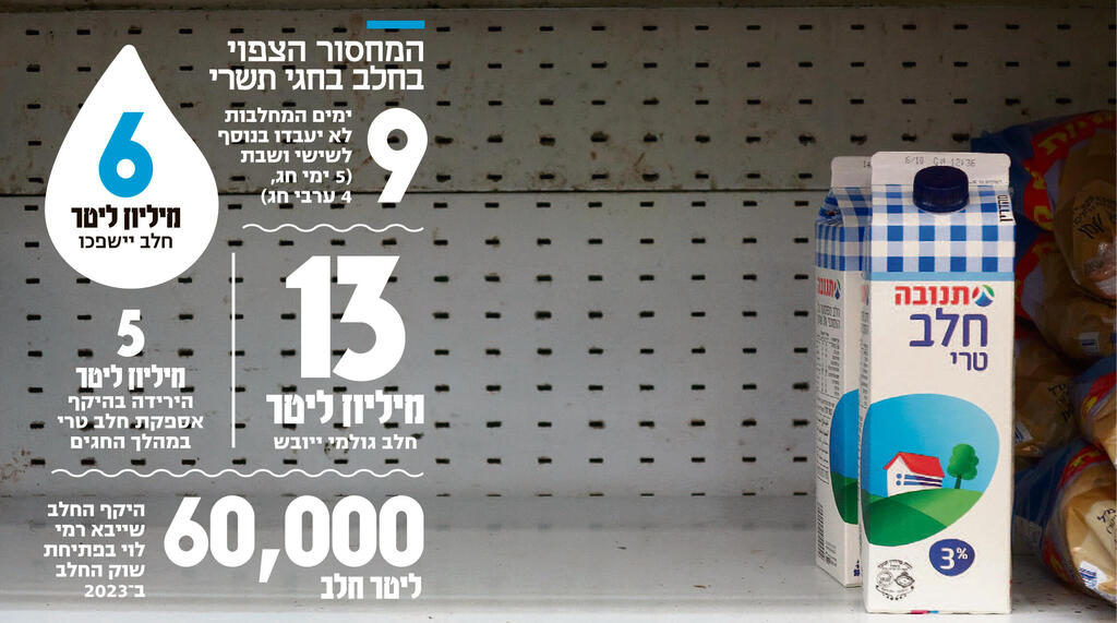 אינפו המחסור הצפוי בחלב בחגי תשרי