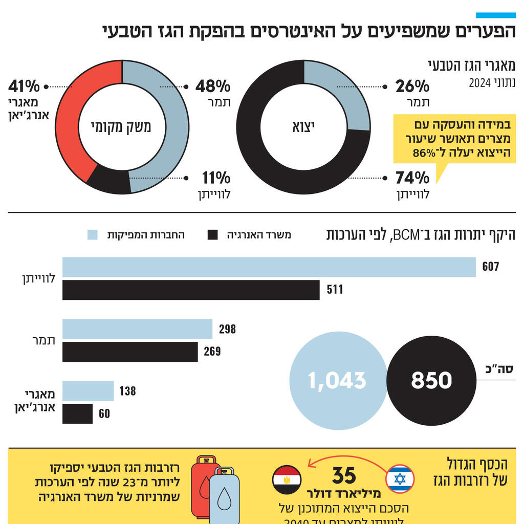 אינפו הפערים שמשפיעים על האינטרסים בהפקת הגז הטבעי