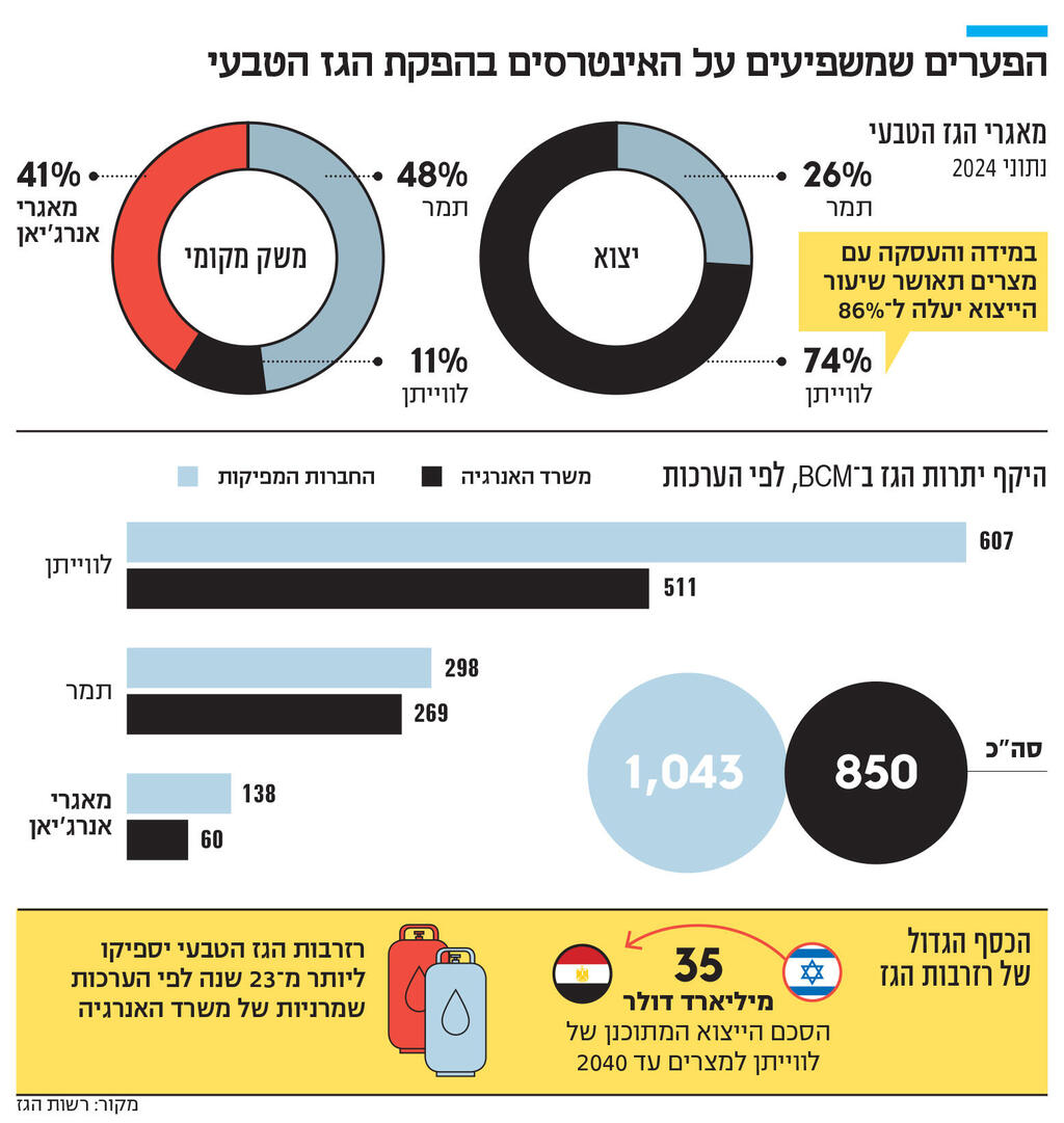 אינפו הפערים שמשפיעים על האינטרסים בהפקת הגז הטבעי