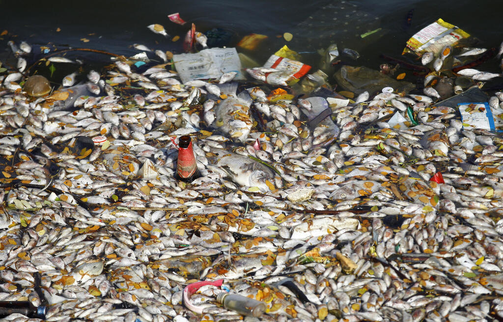 אלפי דגים מתים באגם אולסור המזוהם, 2016 . אין מים זורמים בקמפוסי ההייטק, שמסתמכים על מכליות מים שמגיעות בכל יום