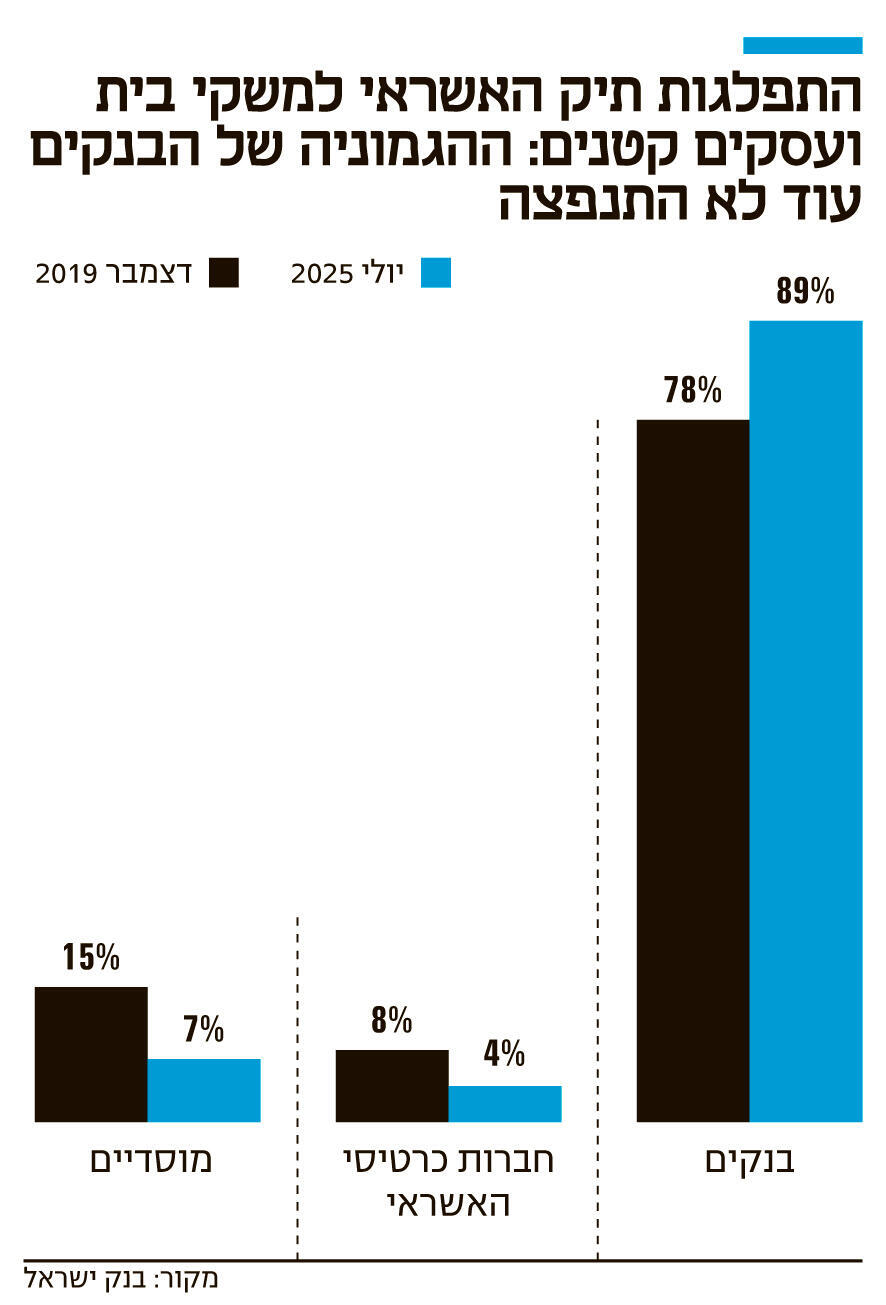 אינפו התפלגות תיק האשראי למשקי בית ועסקים קטנים