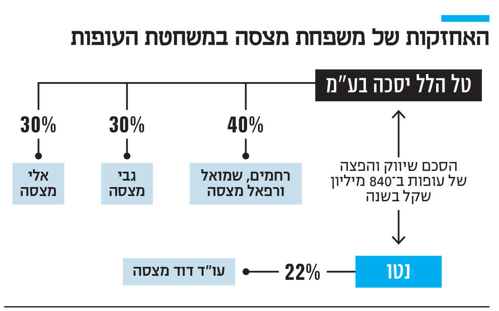 אינפו האחזקות של משפחת מצסה במשחטת העופות