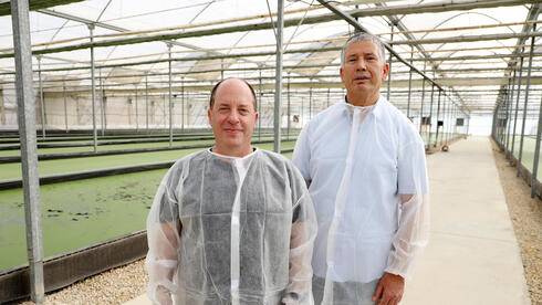 “It would have disappeared from the world”: How a Gaza envelope greenhouse became a symbol of renewal