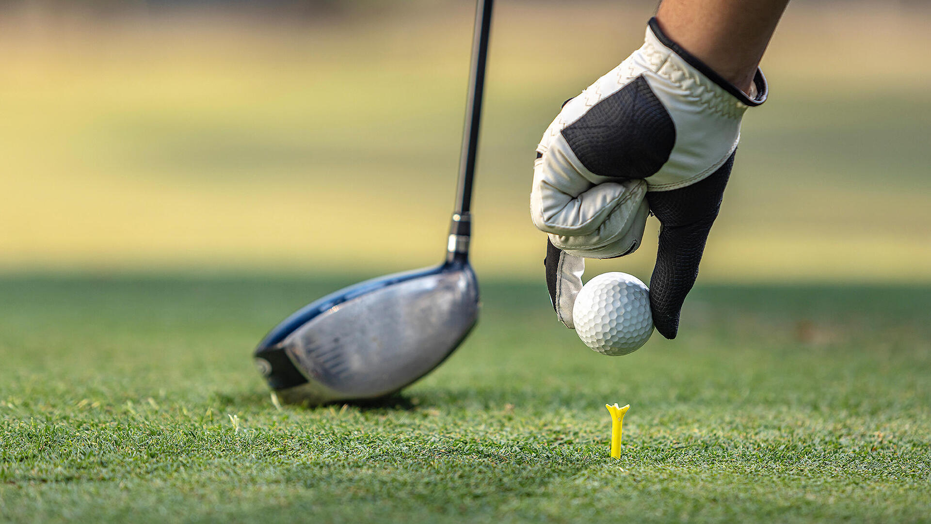 משחק גולף מגרש גולף מועדון גולף