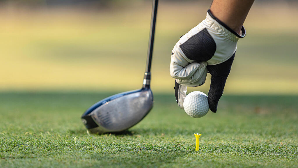 "הפרויקט הופך את הציבורי לפרטי" (צילום: BK Awangga/Shutterstock) משחק גולף מגרש גולף מועדון גולף