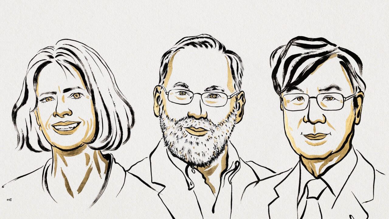 זוכי פרס נובל 2025 סקגוצ'י רמסדל ברונקוב