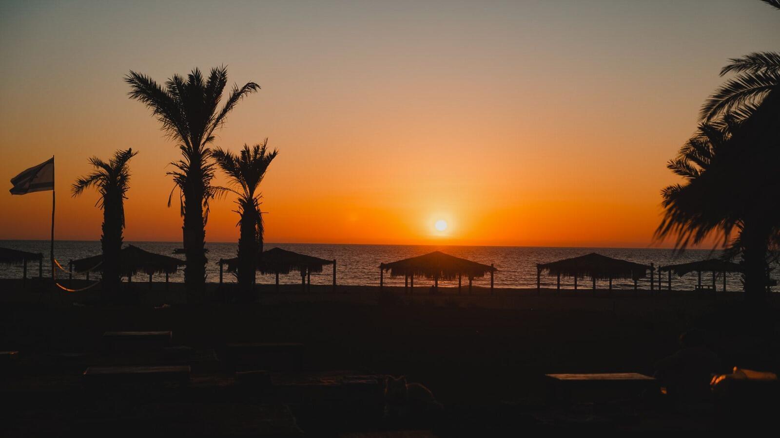 פסטיבל Beats _title Beer: ארבעה לילות של בירה, יין ומוזיקה 