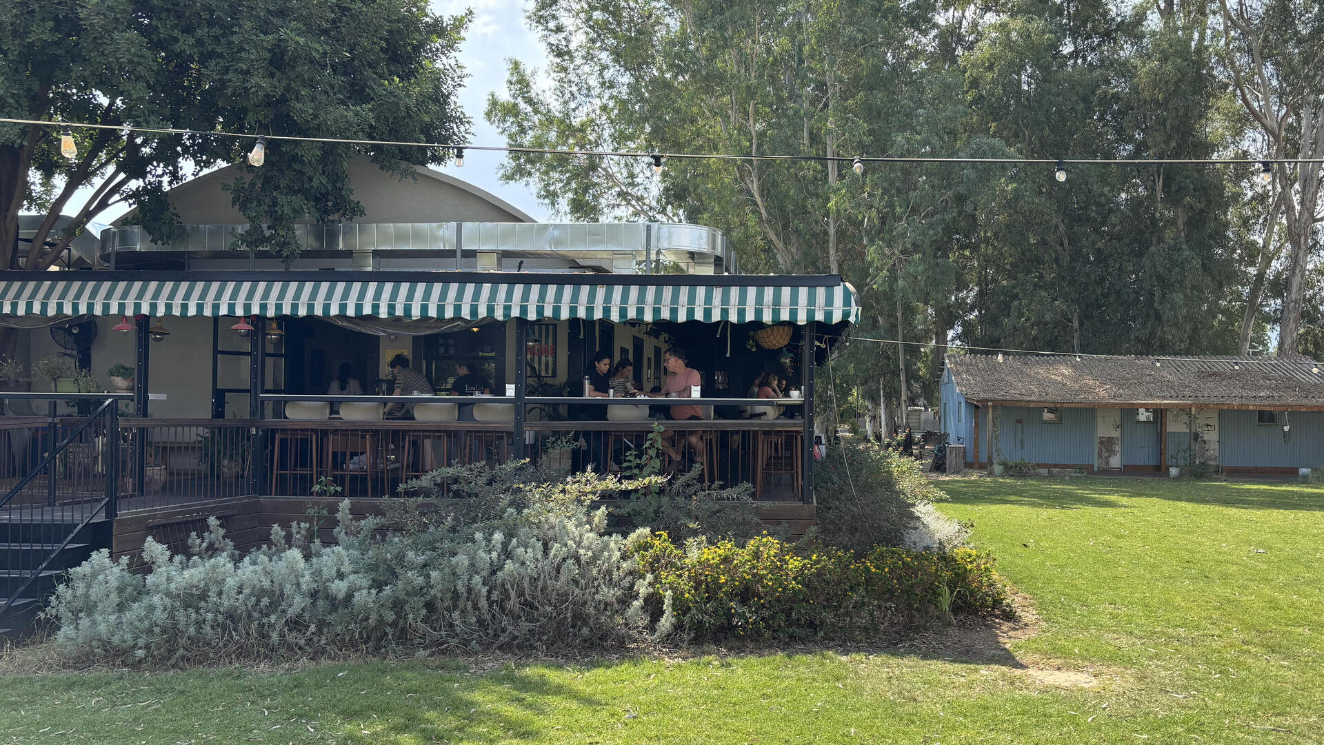 לולו קיבוצטרה 