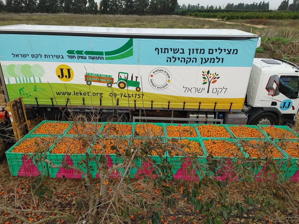 לקט ישראל וקרנות קורת ישראל מרחיבות את  הלוואות החירום בתנאים ייחודיים למגזר החקלאי 