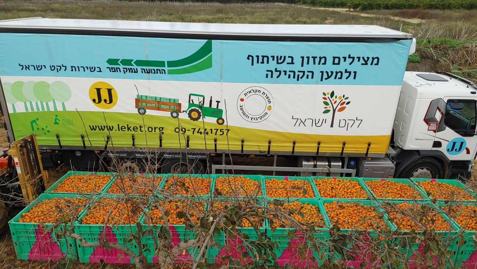 לקט ישראל וקרנות קורת ישראל מרחיבות את  הלוואות החירום בתנאים ייחודיים למגזר החקלאי 