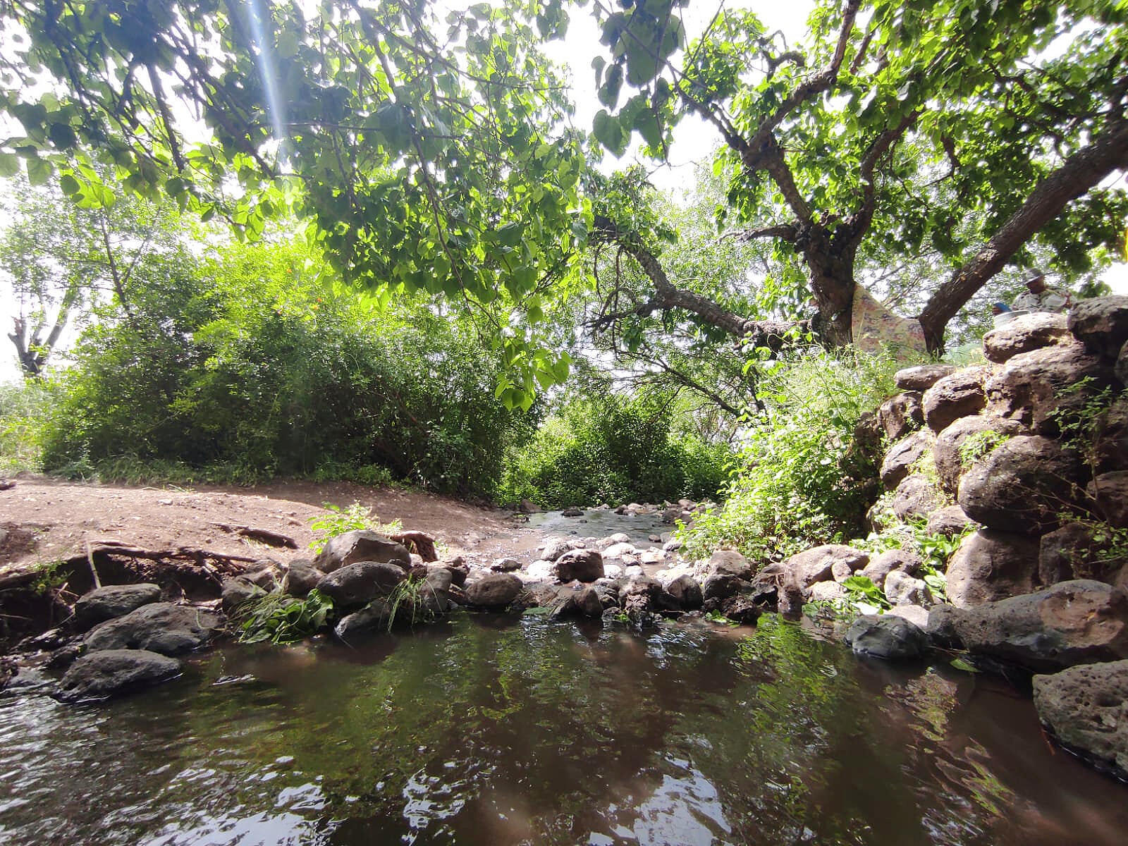 מעיין עין פית רמת הגולן