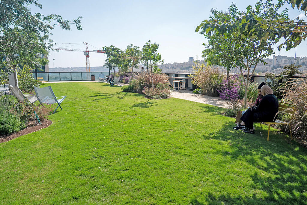 גג ירוק של משרדי לייטריקס בפארק העברית, בירושלים (צילום: שלו שלום) מגזין נדל"ן 2025 - גג ירוק של משרדי חברת לייטריקס בהר החוצבים ירושלים