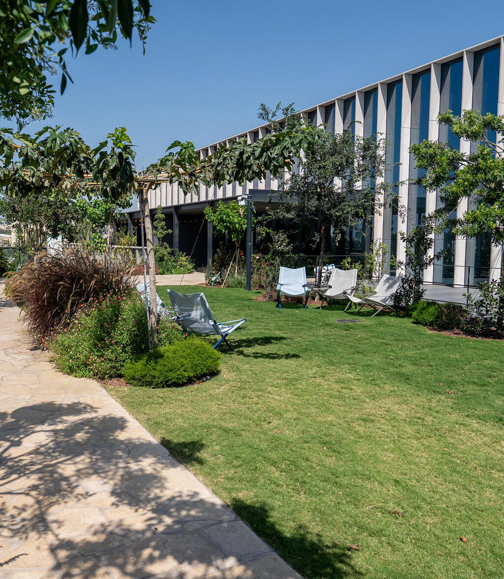 משרדי לייטריקס בפארק העברית, בירושלים (צילום: שלו שלום) מגזין נדל"ן 2025 - גג ירוק - משרדי חברת לייטריקס - הר החוצבים ירושלים