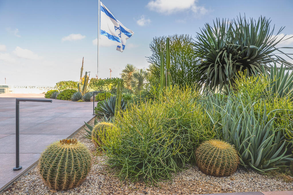 גג ירוק של משרדי WIX (צילום: אוראל כהן) מגזין נדל"ן 2025 - גג ירוק של משרדי חברת WIX וויקס תל אביב