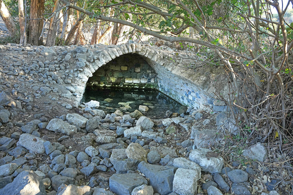 מבנה במעין עין פית. העתירה דורשת לבטל את היתר הבנייה שניתן ולהתחיל לדון בתוכנית חדשה בהליך תכנוני רגיל (צילום: אפי שריר) מגזין נדל"ן 2025 - מבנה במעין עין פית ברמת הגולן שבסיס של צה"ל עתיד לעבור אליו ולהרוס אותו